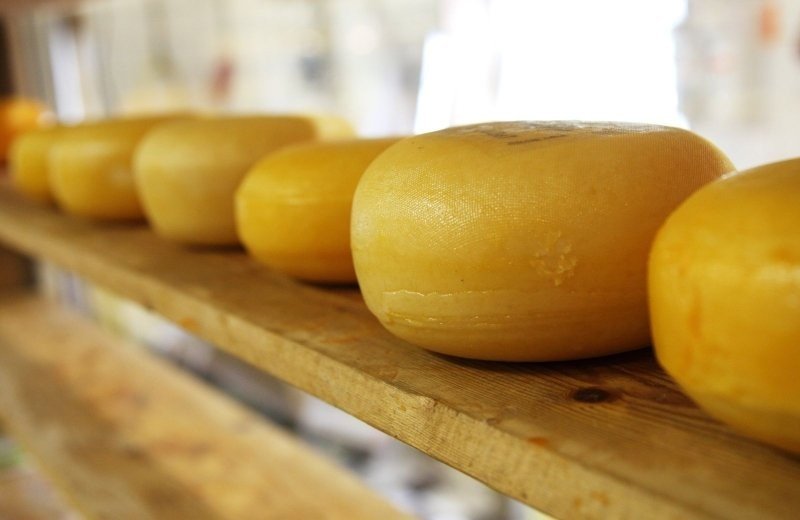 Gouda