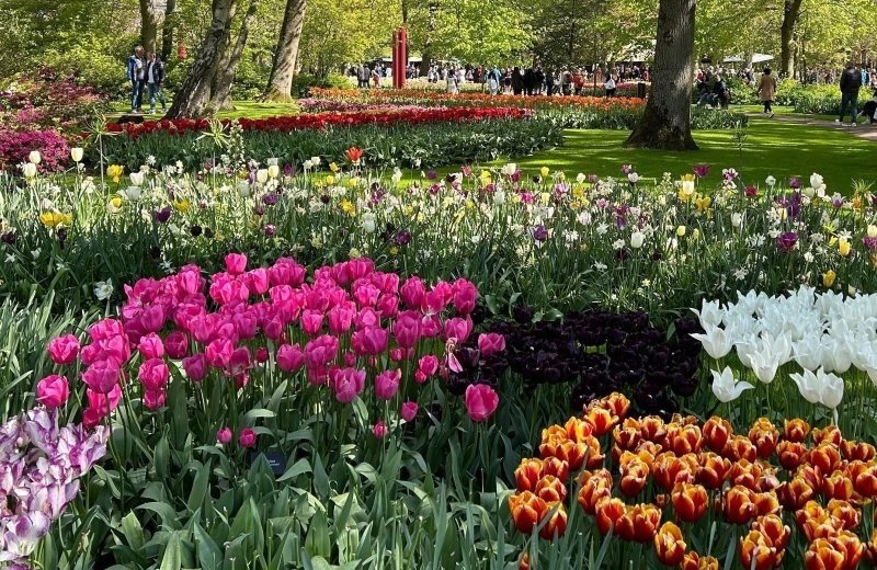 Keukenhof