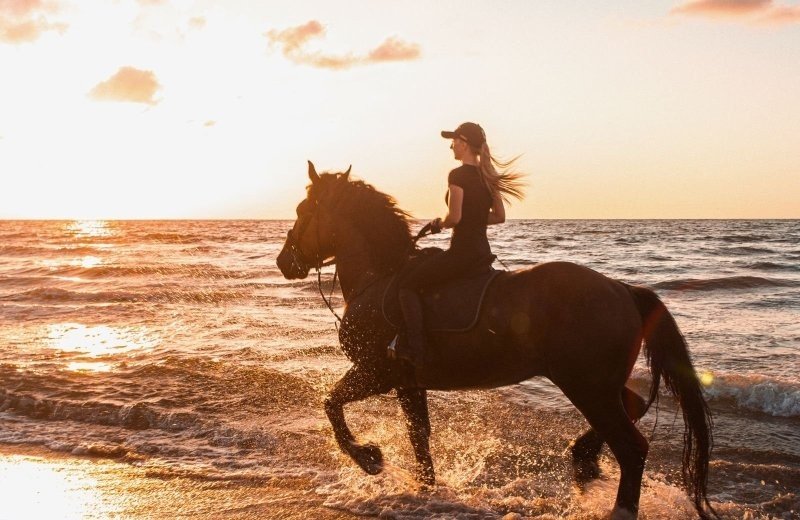 Paardrijden bij Manege Jonker